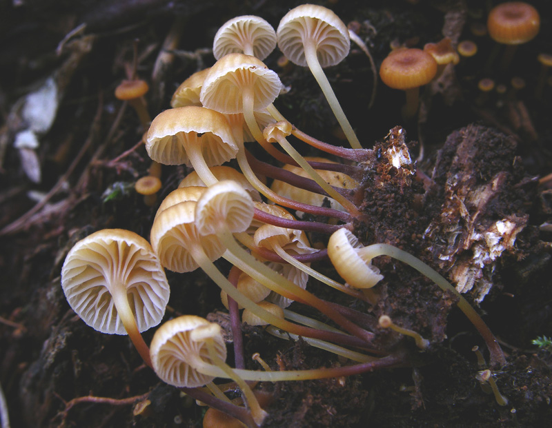 Ritrovamenti del 10 marzo.